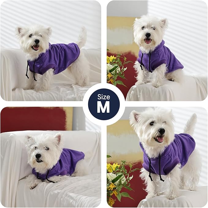 IECOii Dog Hoodie for Small Dogs,Thin Dog Sweatshirt with Hood Suit for Spring Fall Early Winter,Breathable & Lightweight Pet Sweater for Schnauzer, Pug,French Bulldog,Purple, M (No Fleece Lined)