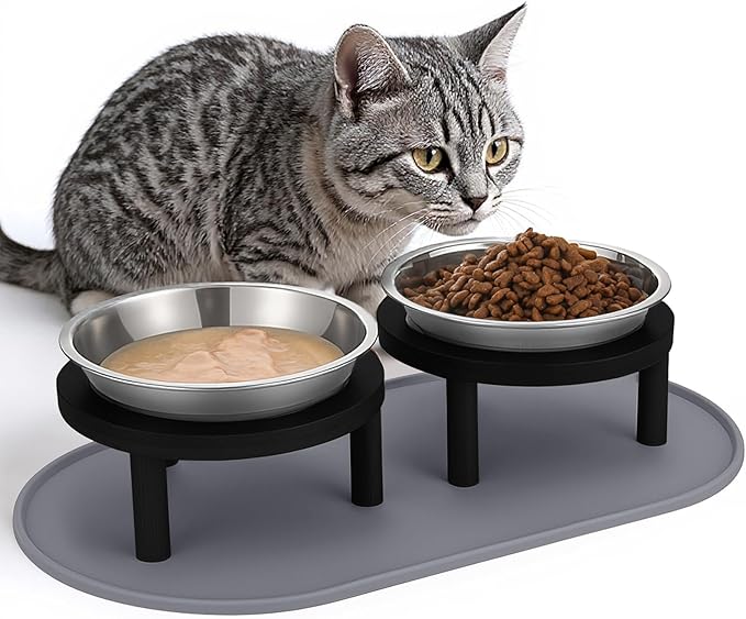 Elevated Cat Bowls with Food Mat,6.3 Inches Shallow Raised Bowls Whisker Friendly,2 Stainless Steel Cat Food and Water Dishes for Cats and Puppies,Dishwasher Safe(Black)