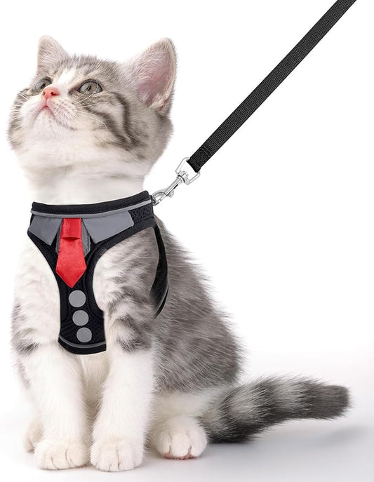 Cat Harness and Leash Set for Walking Escape Proof, Soft Adjustable Kitten Harness Breathable Mesh with Reflective Strips Harness for Kitty Puppy Bunny (Black, Large)