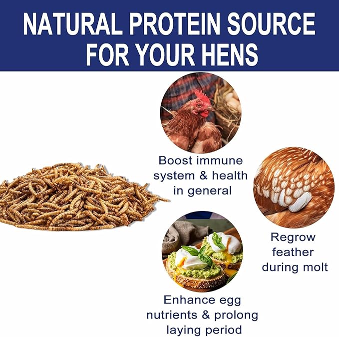 RANZ 8LBS Non-GMO Dried Mealworms for Chickens, High Protein Meal Worms, Premium Chicken Feed, Whole Large Mealworms for Blue Birds, Ducks, Fish