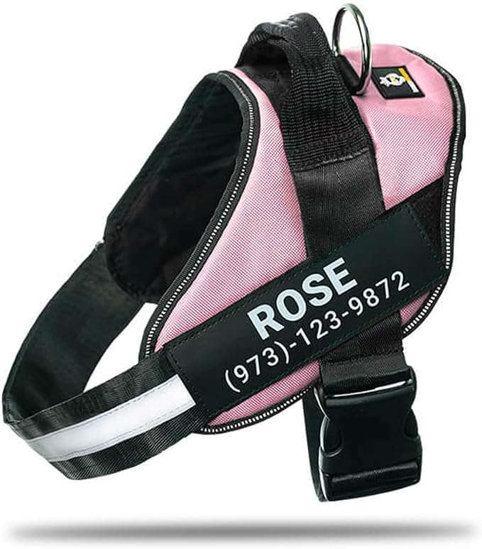 Personalized No-Pull Dog Harness with Name Patch, Adjustable, Reflective, Padded, Heavy Duty Pet Vest to Prevent Tugging, Pulling, or Choking, Training and Walking, Pink, XL