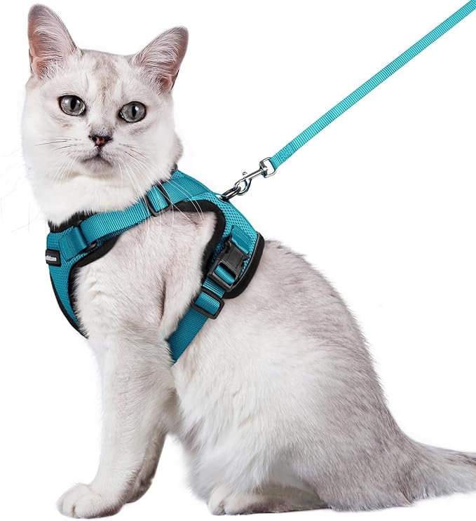 rabbitgoo Cat Harness and Leash for Walking, Escape Proof Soft Adjustable Vest Harnesses for Cats, Easy Control Breathable Reflective Strips Jacket, Teal, M