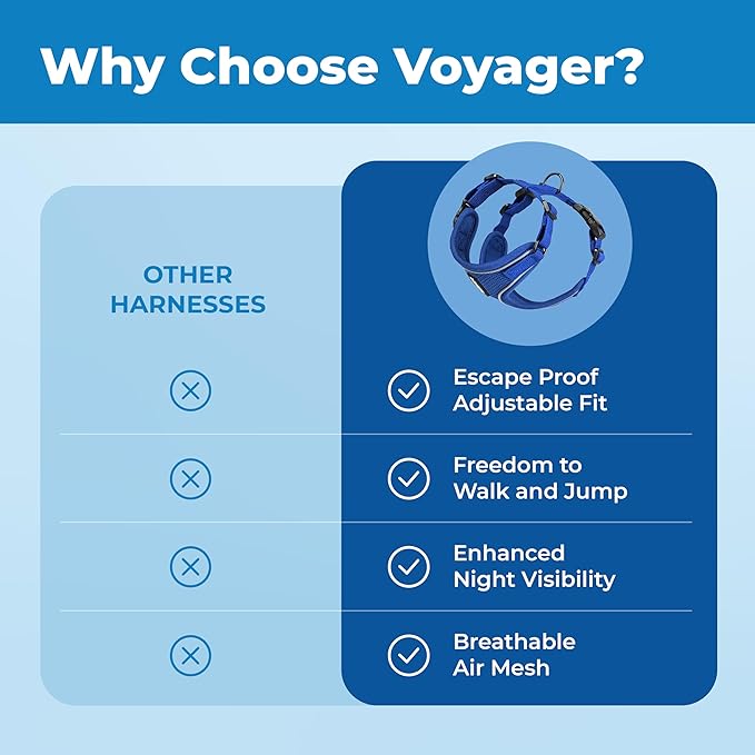 Voyager Escape Proof Cat Harness and Leash Set with Reflective Stitching, Neoprene Handle 5ft - Supports Small, Medium and Large Cats, Kittens for Walking by Best Pet Supplies - Royal Blue, XXS