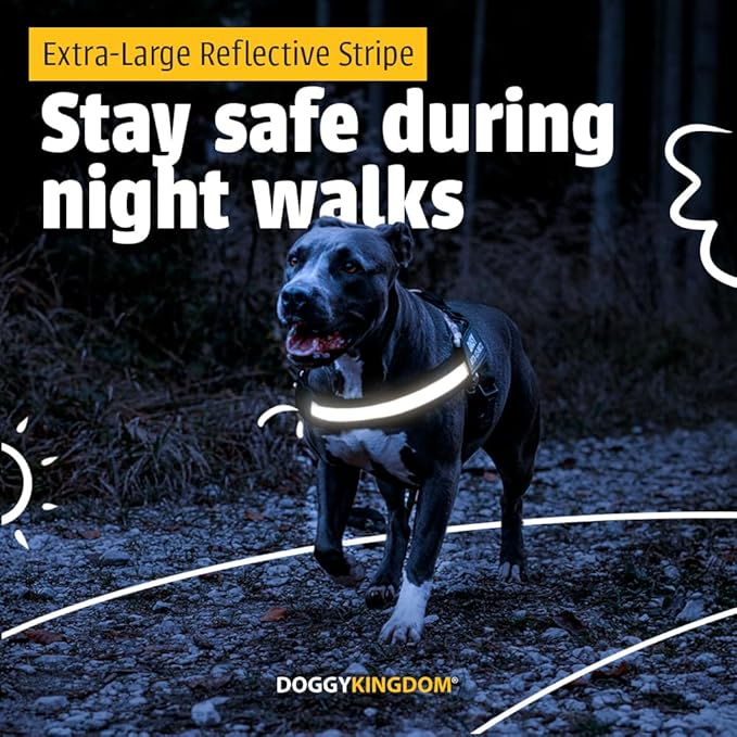 Personalized No-Pull Dog Harness with Name Patch, Adjustable, Reflective, Padded, Heavy Duty Pet Vest to Prevent Tugging, Pulling, or Choking, Training and Walking, Military Desert, M