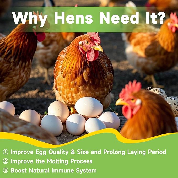 2LB Dried Black Soldier Fly Larvae Treat for Chicken, 100% Natural Non-GMO More Calcium Than Dried Mealworms High Protein Chicken Feed for Birds, Ducks, Layer Hens