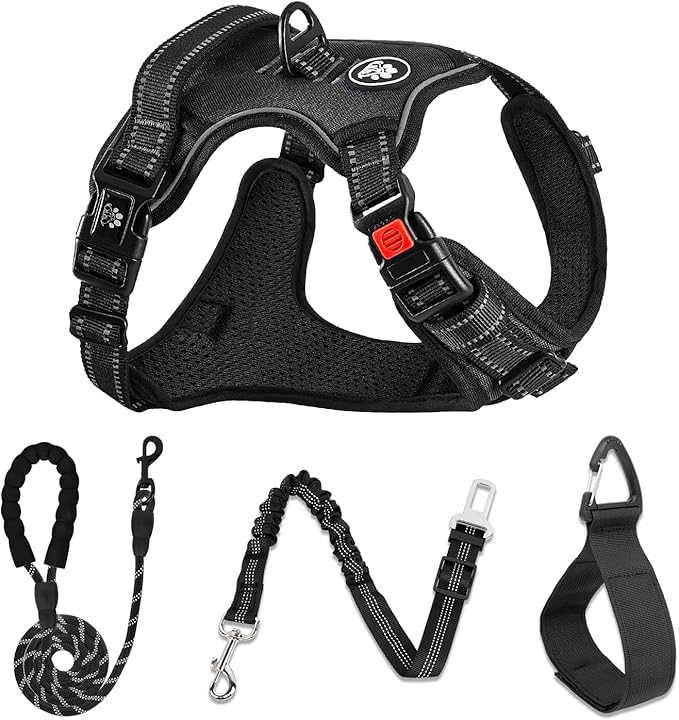 NESTROAD No Pull Dog Harness,Adjustable Oxford Dog Vest Harness with Leash,Reflective No-Choke Pet Harness with Easy Control Soft Handle for Small Dogs(Small,Black)
