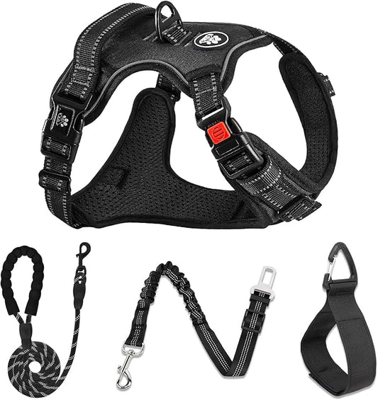 NESTROAD No Pull Dog Harness,Adjustable Oxford Dog Vest Harness with Leash,Reflective No-Choke Pet Harness with Easy Control Soft Handle for Small Dogs(Small,Black)