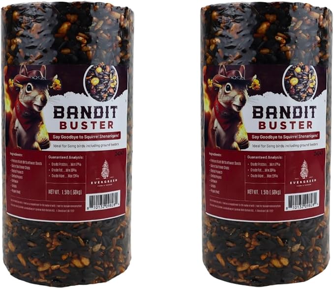 Birdseed Cylinders with Hole - Bird Seed for Outside Wild Birds (Small Cylinder, Bandit Buster 2pc)