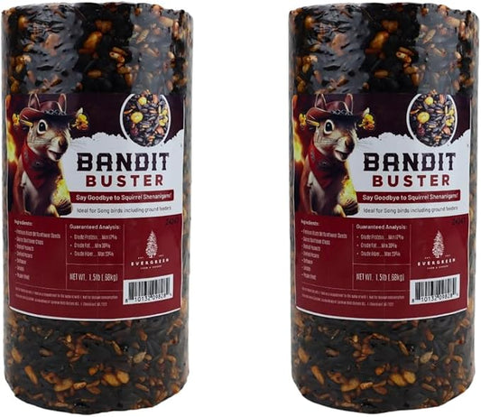 Birdseed Cylinders with Hole - Bird Seed for Outside Wild Birds (Small Cylinder, Bandit Buster 2pc)