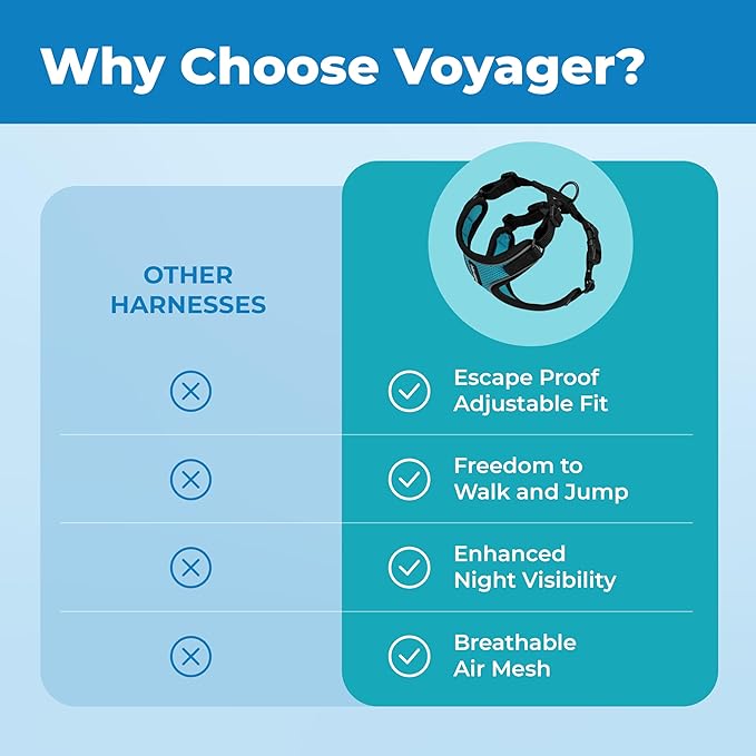 Voyager Escape Proof Cat Harness and Leash Set with Reflective Stitching, Neoprene Handle 5ft - Supports Small, Medium and Large Cats, Kittens for Walking by Best Pet Supplies - BT-Turquoise, XXS