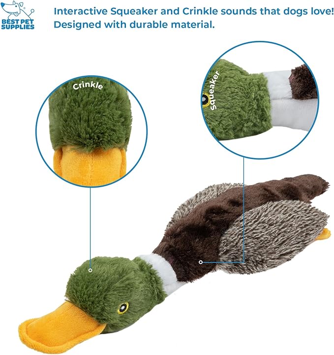 Best Pet Supplies Interactive Mallard Mates Dog Toy with Crinkle and Squeaky Enrichment for Small and Medium Breed Puppies or Dogs, Cute and Plush - Mallard Duck (Brown), Medium