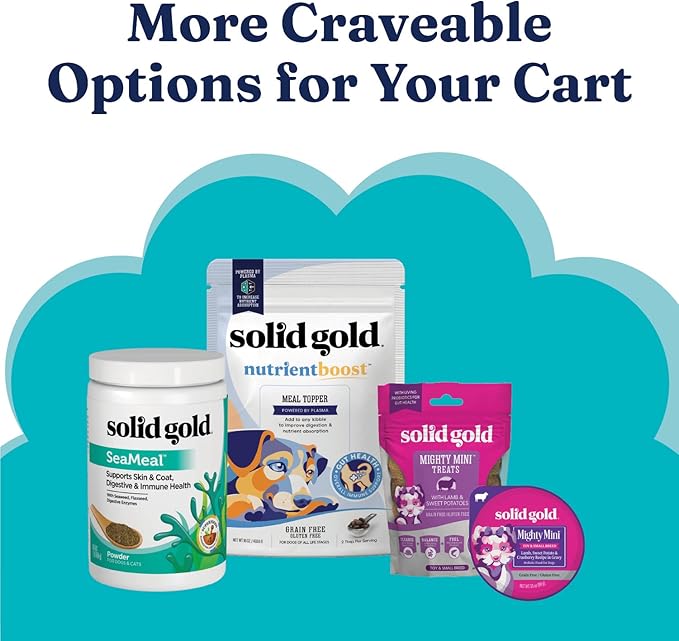 Solid Gold Toy & Small Breed Dry Dog Food Small Bites – Real Beef, Grain Free, Gluten Free, High Fiber Kibble with Probiotics for Gut Health & Digestion Support – Healthy Dog Food All Ages – 11LB