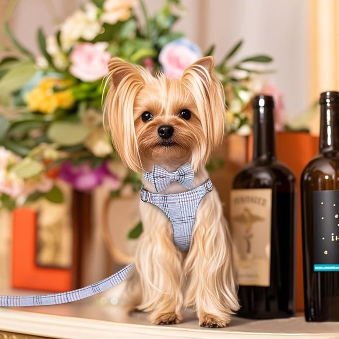 Beirui Cute Extra Small Dog Harness Collar and Leash Set with Bowtie, Soft Adjustable Plaid Puppy Harness for Small Sized Dogs Cats Walks Parties and Photoshoots(Blue,XXS:Chest 12-14")