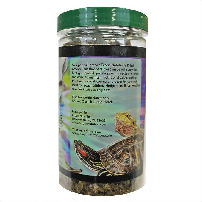 Groovy Grasshoppers (2 PACK)- All Natural Healthy High Protein Insect Treat - Chickens, Birds, Hedgehogs, Bluebirds, Reptiles, Sugar Gliders, Opossums, Skunks, Lizards, Turtles, Amphibians (2.8 oz.)