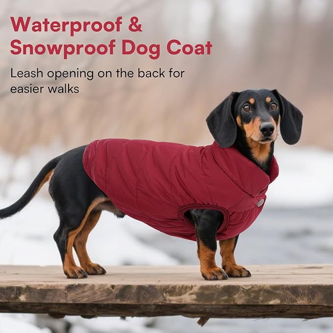 ASENKU Dog Winter Coat - Waterproof Windproof Dog Jacket, Warm Snowproof Doggie Puffer Vest for Cold Weather, Lightweight Snow Coats for Small Medium Large Dogs (2XL, Red)