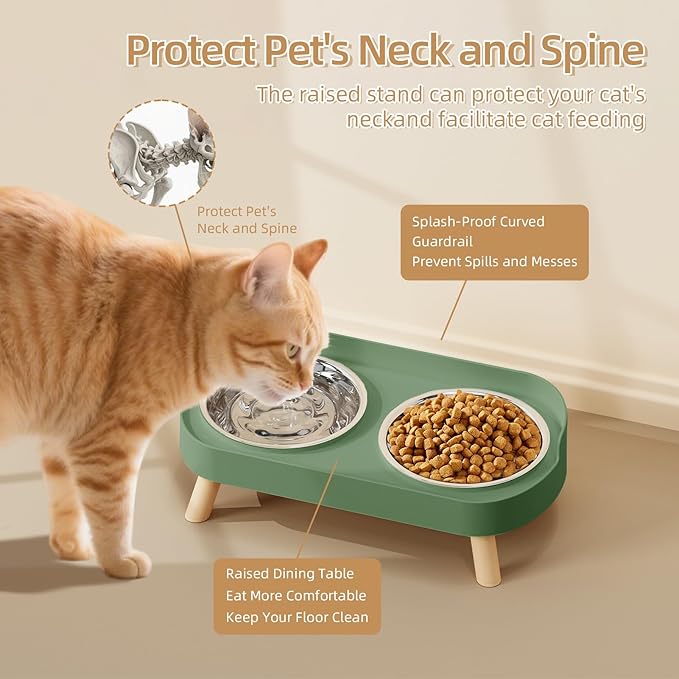 Elevated Cat Bowl, Raised Cat Food and Water Bowl Set for Indoor Cats, Splash Proof with 2 Stainless Steel Pet Food Bowls for Cats and Puppies, Whisker Fatigue and Dishwasher Safe - Green