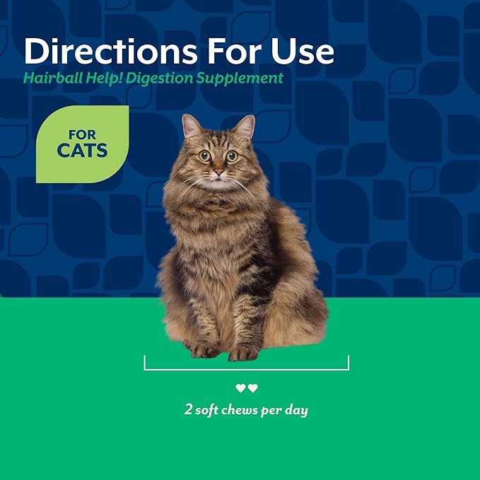 NaturVet – Hairball Aid Supplement for Cats - Plus Pumpkin – Helps Eliminate & Prevent Hairballs – 100 Soft Chews