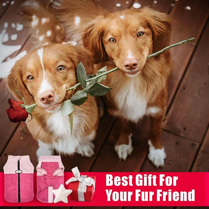 Idepet Dog Fleece Vest Sweater Zip Up Warm Pullover Dogs Jacket with D-Ring Leash Winter Cold Weater Coat Pet Sweatershirt Clothes Hoodie for Small Medium Dogs Boy Girl (Pink/Rose Red, M)