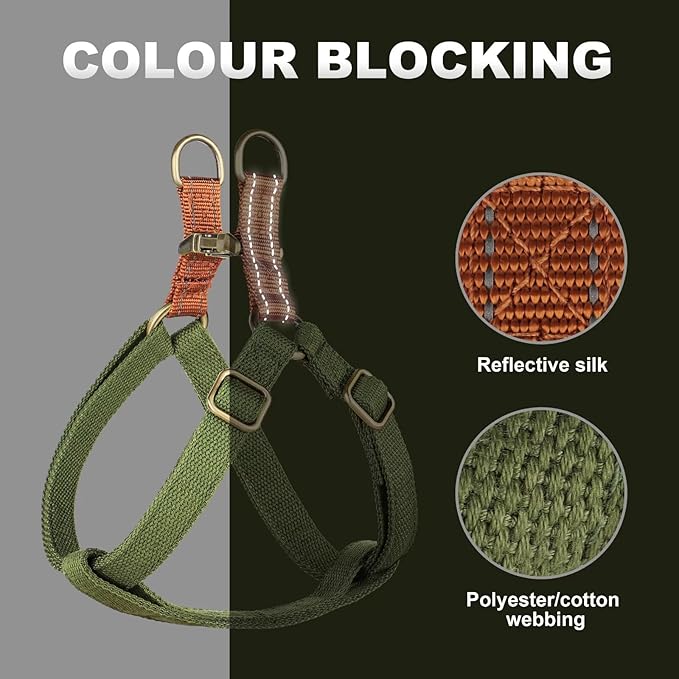 Didog Step in Dog Harness with Metal Buckles, Freedom Nylon Dog Halter Vests for Small Dogs Easy Walking Training(XS:Chest 9-12", Green)