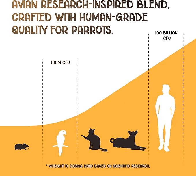 Parrot Probiotic, Prebiotic and Postbiotic, Pet Bird Supplies, Used with Water, Vitamins, Budgie Treats, Baby Parrot Formula, Parrot Medicine, Mix in Parrot Food