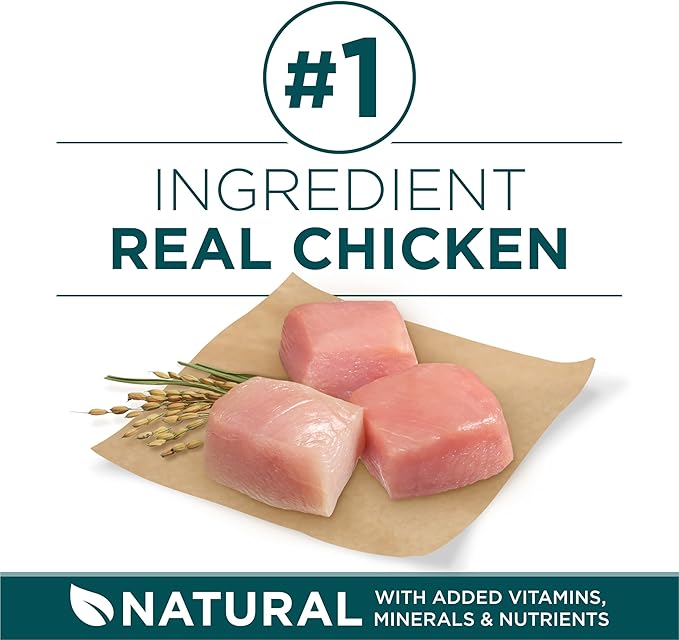 Purina ONE Plus Large Breed Puppy Food Dry Formula - 40 lb. Bag