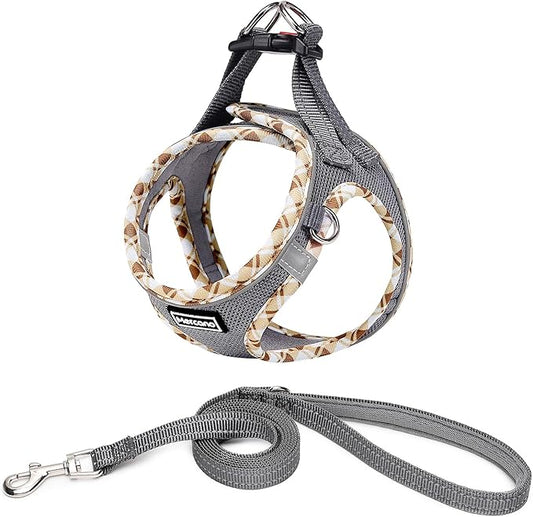 Mercano Soft Mesh Dog Harness and Leash Set, No-Chock Step-in Reflective Breathable Lightweight Easy Walk Vest Harnesses with Safety Buckle for Small Dogs, Cats (Grey, M)
