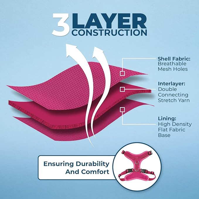 Voyager Step-in Lock Adjustable Cat Harness w. Cat Leash Combo Set with Neoprene Handle 5ft - Supports Small, Medium and Large Breed Cats by Best Pet Supplies - Fuchsia, XXXS