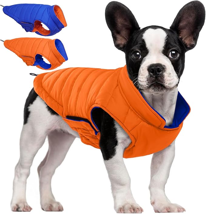 QBLEEV Reversible Dog Coat, Orange Hunting Safety Vest for Dogs, L Waterproof Dog Winter Coats, Warm Lightweight Windproof French Bulldog Jacket, Adjustable Snowproof Puffer Coat for Medium Dogs