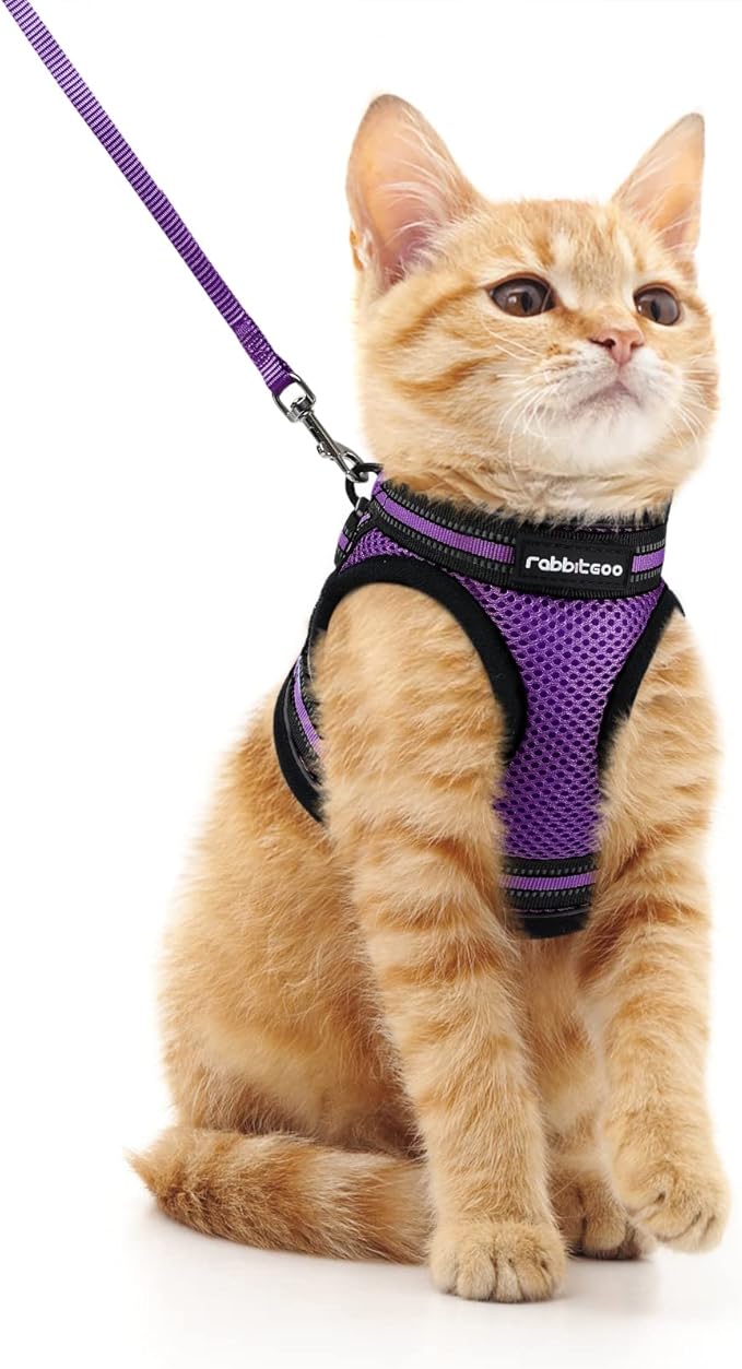 rabbitgoo Cat Harness and Leash Set for Walking Escape Proof, Adjustable Soft Kittens Vest with Reflective Strip for Cats, Comfortable Outdoor Vest, Purple, M
