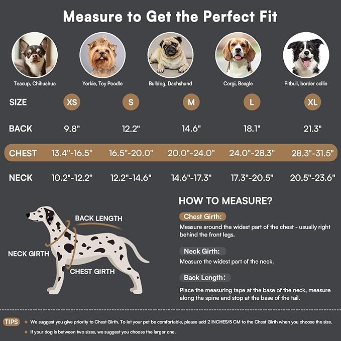 Queenmore Dog Winter Coat Warm Puffer Jacket Waterproof Plush Lining Thermal Cold Weather Vest for Small Medium Large Dogs, Windproof Easy On Pet Jacket Yellow L