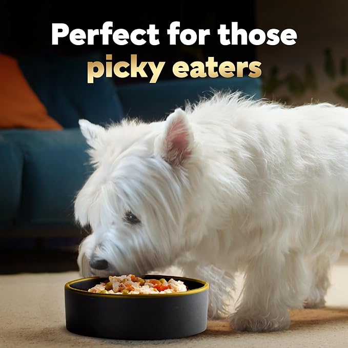 Cesar Simply Crafted Adult Wet Dog Food Meal Topper, Chicken, Carrots, Potatoes & Peas and Beef, Chicken, Purple Potatoes, Green Beans & Red Rice Variety Pack, 1.3oz. (8 Count, Pack of 2)