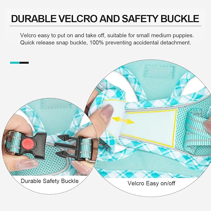 Mercano Soft Mesh Dog Harness and Leash Set, No-Chock Step-in Reflective Breathable Lightweight Easy Walk Vest Harnesses with Safety Buckle for Small Dogs, Cats (Light Blue, S)