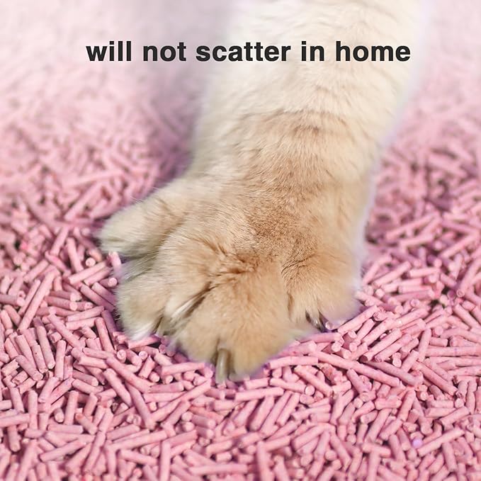 Cat Litter 24LB/4 Packs Dust-Free Clumping Tofu Cat Litter Quickly Absorb Odors Toilet Can Flush Into The Toilet Pure Natural tofu cat Litter (Peach)