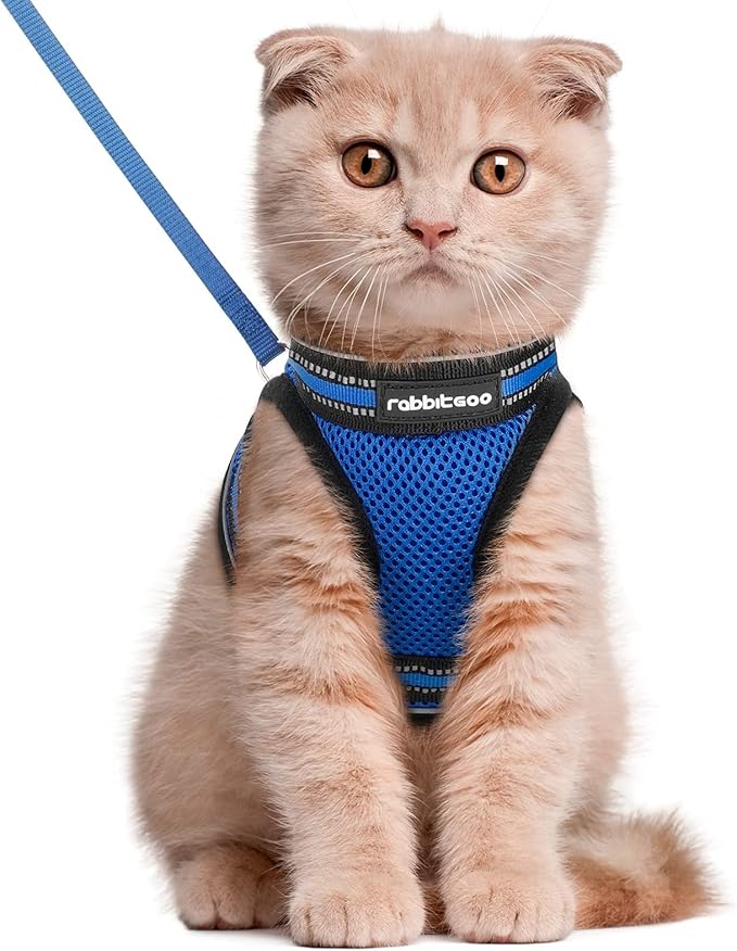 rabbitgoo Cat Harness and Leash Set for Walking Escape Proof, Adjustable Soft Kittens Vest with Reflective Strip for Cats, Comfortable Outdoor Vest,Blue,L