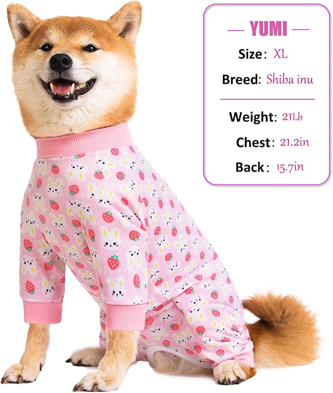 Dog Recovery Suit for Small Medium Large Dogs, Pet Onesie After Surgery Comfort Dog Bodysuit Anti Licking (Large, Pink Bunny)