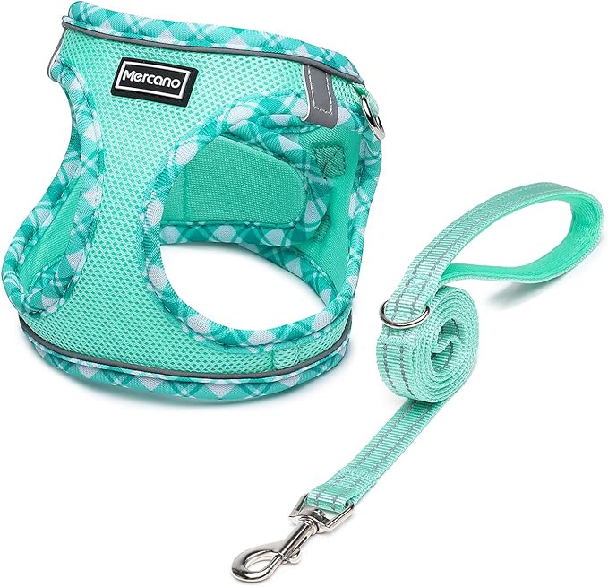 Mercano Soft Mesh Dog Harness and Leash Set, No-Chock Step-in Reflective Breathable Lightweight Easy Walk Vest Harnesses with Safety Buckle for Small Dogs, Cats (Light Green, S)