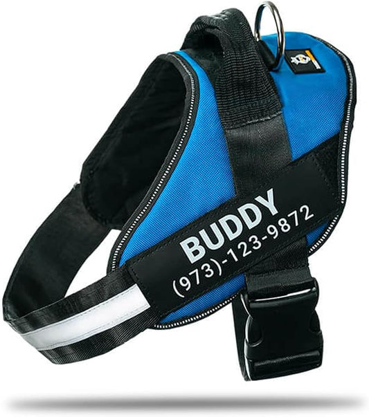 Personalized No-Pull Dog Harness with Name Patch, Adjustable, Reflective, Padded, Heavy Duty Pet Vest to Prevent Tugging, Pulling, or Choking, Training and Walking, Blue, M
