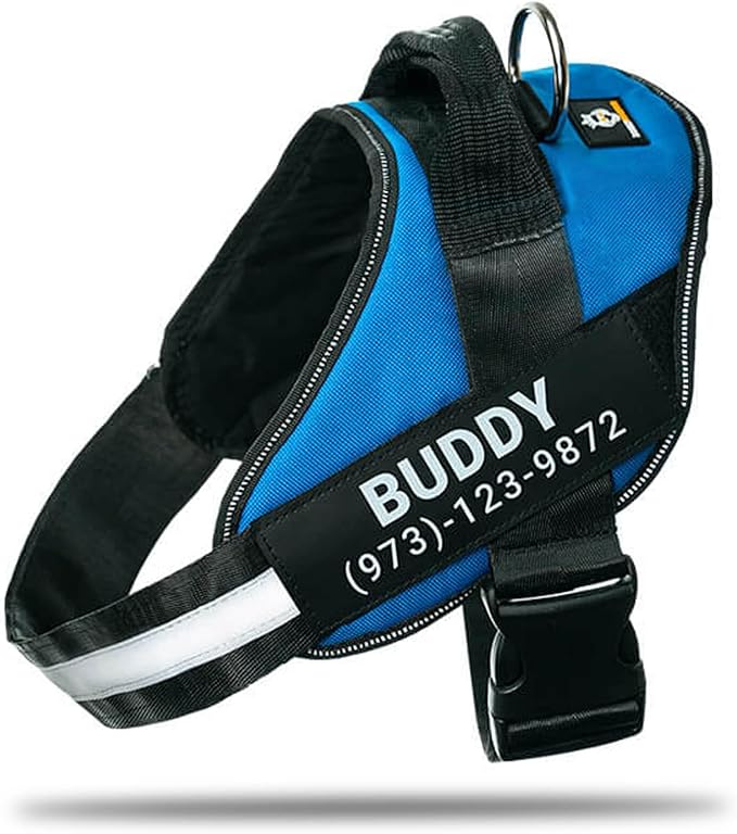Personalized No-Pull Dog Harness with Name Patch, Adjustable, Reflective, Padded, Heavy Duty Pet Vest to Prevent Tugging, Pulling, or Choking, Training and Walking, Blue, XL