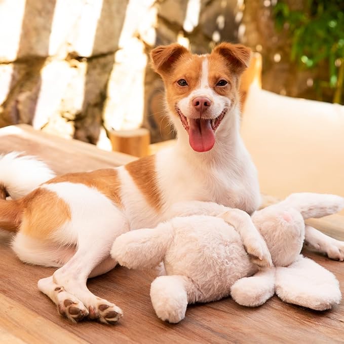 Best Pet Supplies Interactive Bunny Buddy Dog Toy with Crinkle and Squeaky Enrichment for Small and Medium Breed Puppies or Dogs, Cute and Plush - Bunny (Beige), Small