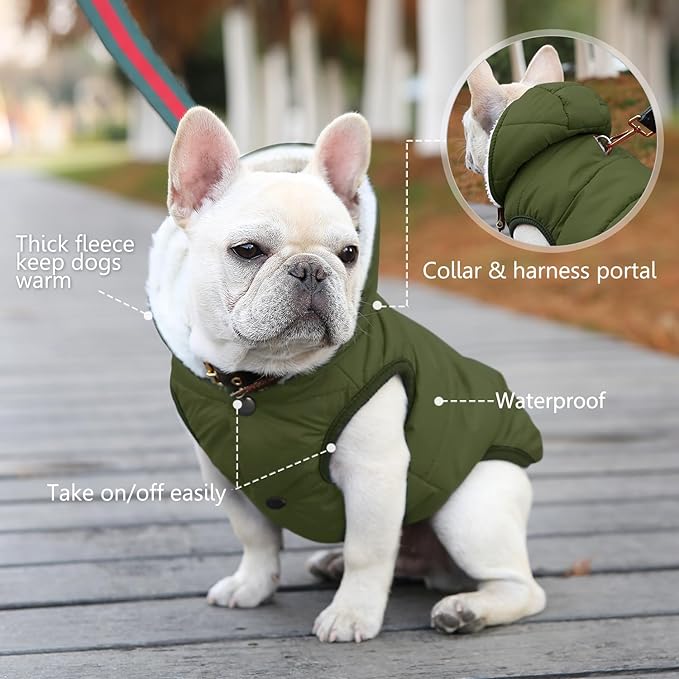 Fleece Hoodie, Windproof Waterproof Coat, Winter Warm Jacket, Cold Weather Pet Apparel Clothes Vest for Small Medium Large Dogs (M, Green)