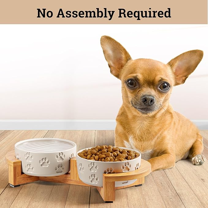 Ceramic Dog Bowls with Stand - Small Dog Bowl Set with Stand Non-Slip - 2 Ceramic Dishes with Anti-Skid Bamboo Stand for Small Dogs - Elevated Dog Bowls Set of 2 - Raised Pet Feeding Station