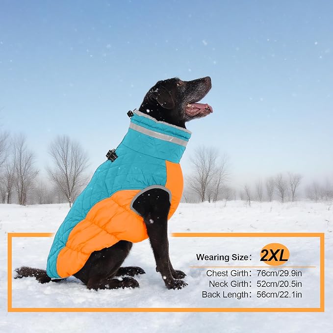 Warm Dog Jackets for Small Dogs, Waterproof Dog Coat with Harness Built in, Zipper Clousure, Fleece Lining for Cold Weather, Small Pet Winter Clothes for Shih Tzu, Yorkshire, Bichon - S