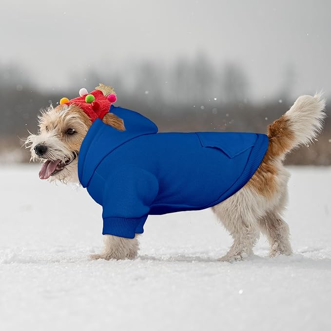 Dog Sweaters for Small Dogs Pet Sweater Solid Soft Brushed Fleece Dog Hoodie Clothes Pet Hoodie Sweatshirt with Pocket(Blue-XS)