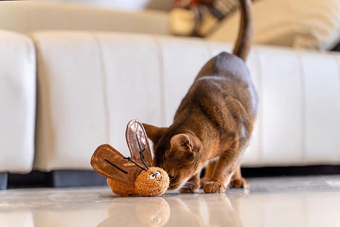 Interactive Catnip Cat Plush Toy, Insect Theme, 5'', for All Breed Size Cats (Cockroach)