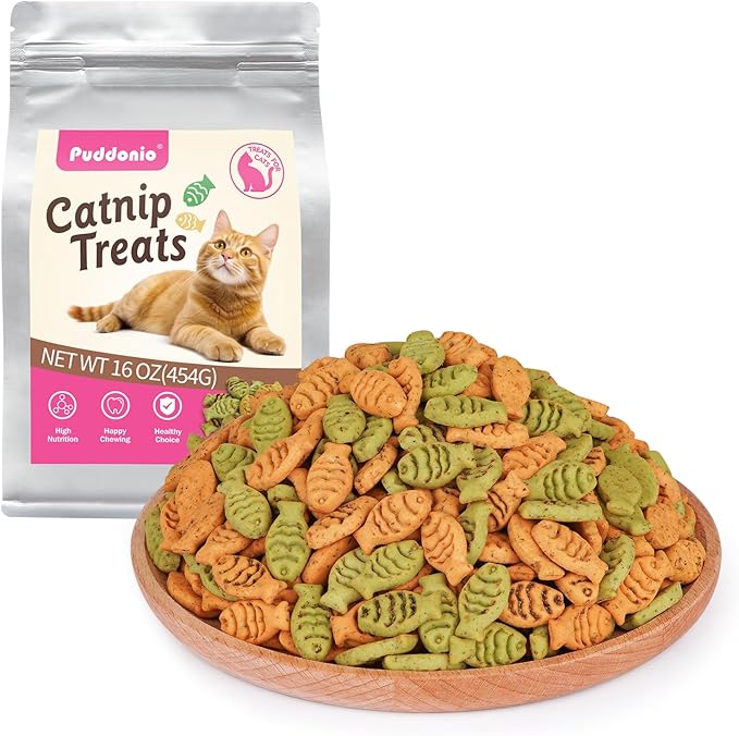 Catnip Cat Treats, Chicken and Salmon Flavor Cat Snacks, Training Biscuits Treats for Cats, Crunchy Fish Shape Adult Cat Biscuits, 16 oz