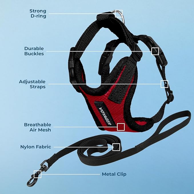 Voyager Step-in Lock Adjustable Cat Harness w. Cat Leash Combo Set with Neoprene Handle 5ft - Supports Small, Medium and Large Breed Cats by Best Pet Supplies - Red/Black Trim, XXXS