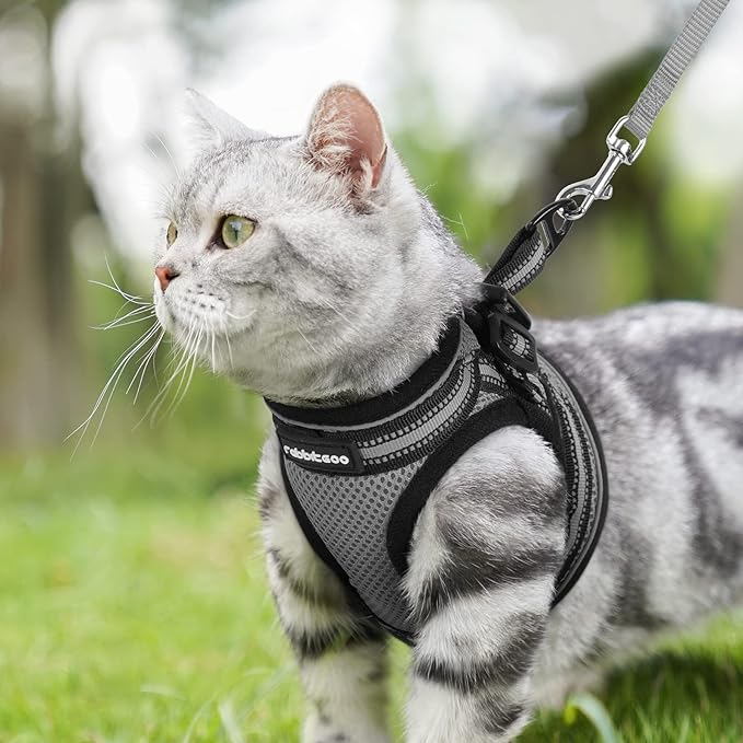 rabbitgoo Cat Harness and Leash Set for Walking Escape Proof, Adjustable Soft Kittens Vest with Reflective Strip for Cats, Comfortable Outdoor Vest, Grey, S