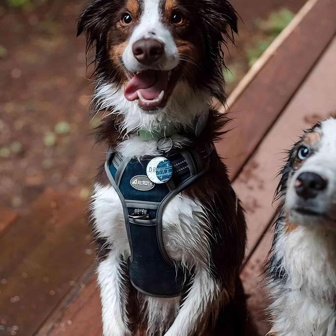 AUROTH Tactical Dog Harness for Small Medium Large Dogs No Pull Adjustable Pet Harness Reflective K9 Working Training Easy Control Pet Vest Military Service Dog Harnesses (XL, Denim Blue)