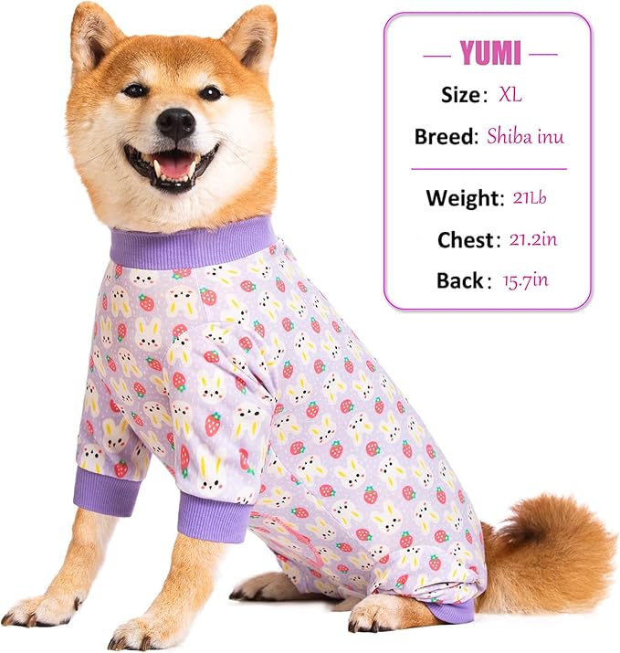 Dog Recovery Suit for Small Medium Large Dogs, Pet Onesie After Surgery Comfort Dog Bodysuit Anti Licking (X-Large, Purple Bunny)