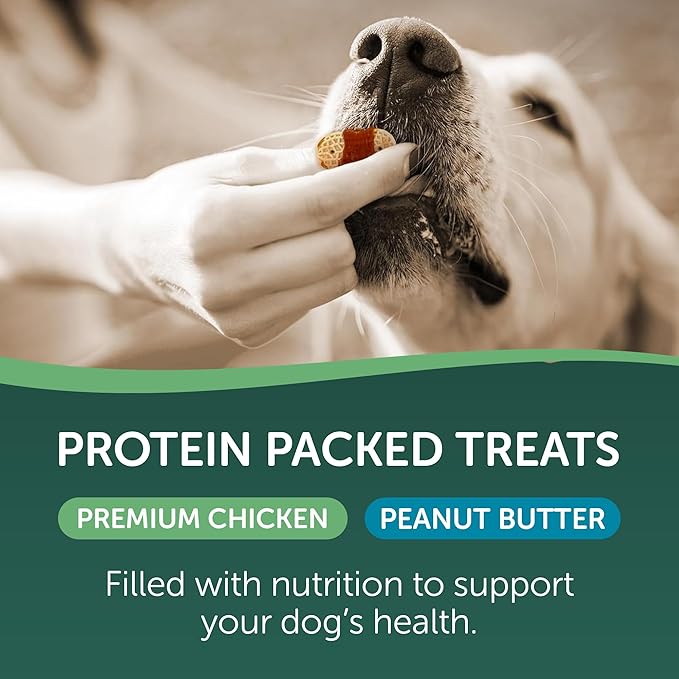 Chicken & Peanut Butter Flavored Dog Biscuits, 16oz